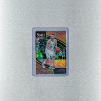 Basketball Others - panini