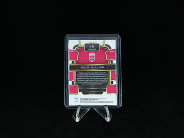 2023-2024 PANINI- SELECT FIFA - Norway - Base Card