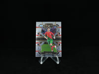 2023-2024 PANINI- SELECT FIFA - Portugal - Base Card
