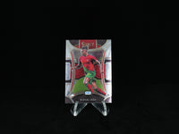 2023-2024 PANINI- SELECT FIFA - Portugal - Base Card