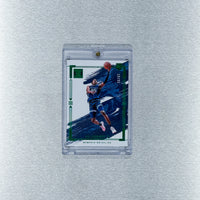 Basketball Others - panini