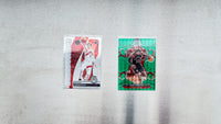 2023-24 Panini Mosaic Basketball - Toronto Raptor