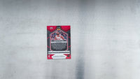 2023-24 Panini Mosaic Basketball - Chicago Bulls