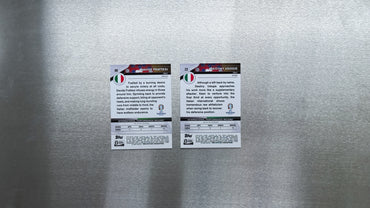 2024 Topps Chrome UEFA Euro - Italy Team Card